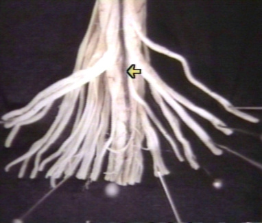 00203127