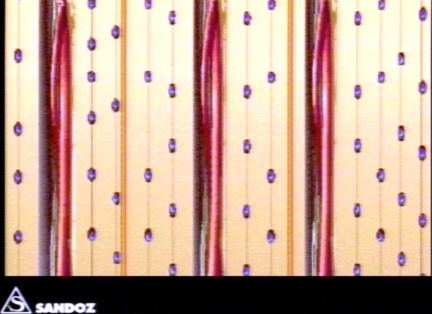00203361