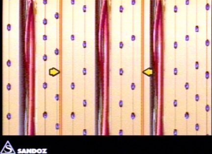 00203363