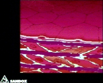 00203369