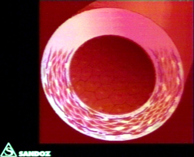 00203375