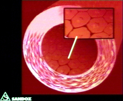 00203381