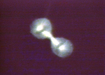 00205968
