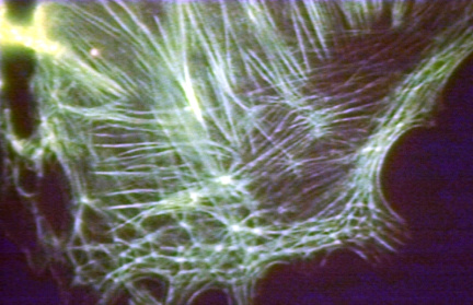 00205970