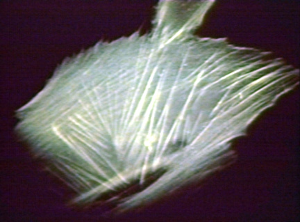 00205971