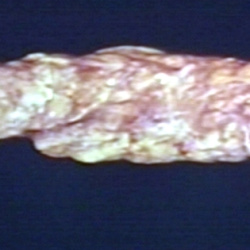 PEIR Slice