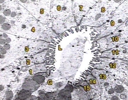 00219203
