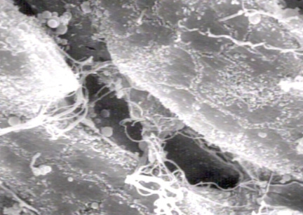 00222522
