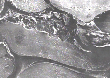00222536