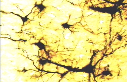 00222567