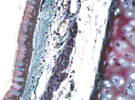 00222624