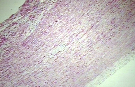 00225750