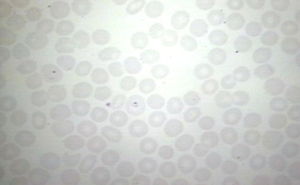 00227446