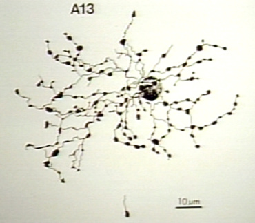 00229060