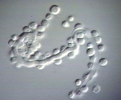 00232287