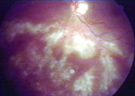 00232405