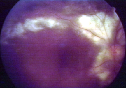 00232451