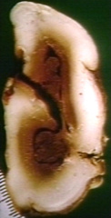 00237495