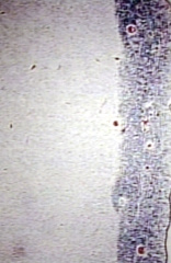 00237500