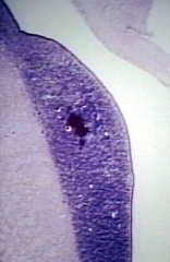00237501