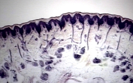 00241630