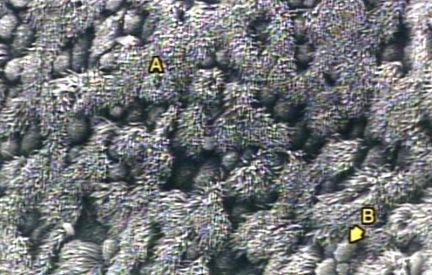 00245315