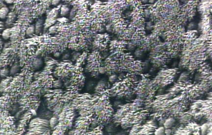 00245313