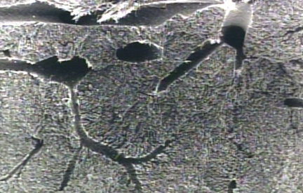 00245369
