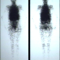 Radiology