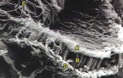 00245711