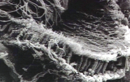 00245709
