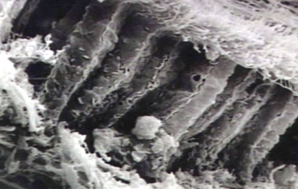 00245713