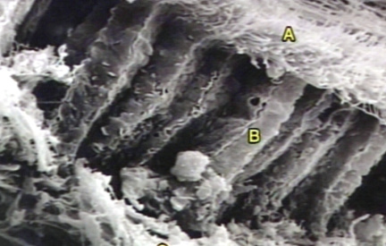 00245715