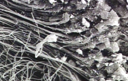 00245721