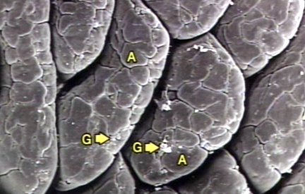00245727