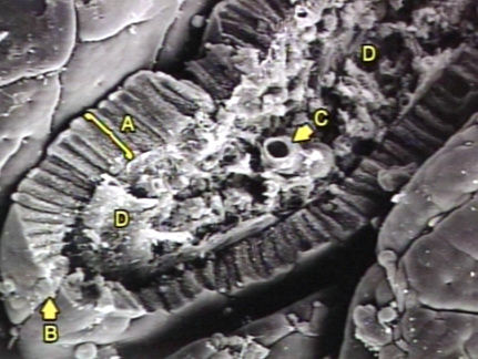 00245731
