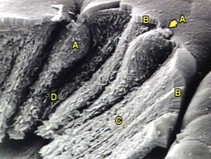 00245735