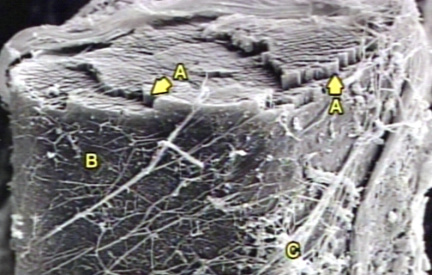 00245747