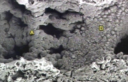 00245787