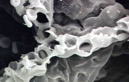 00245789