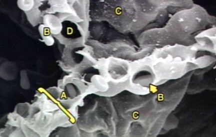 00245791