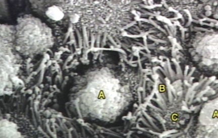 00245803