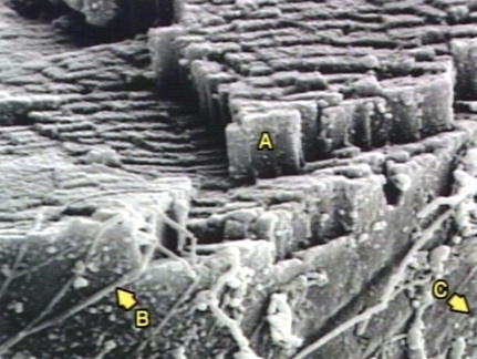 00245883