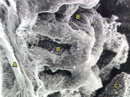 00245891