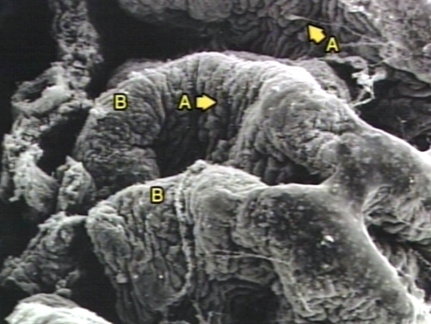 00245895