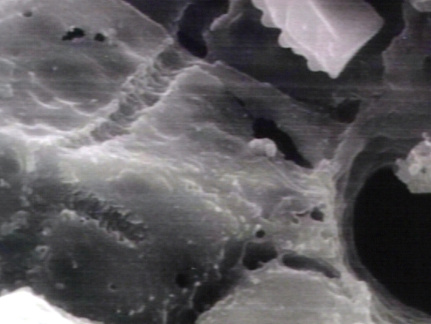 00245901