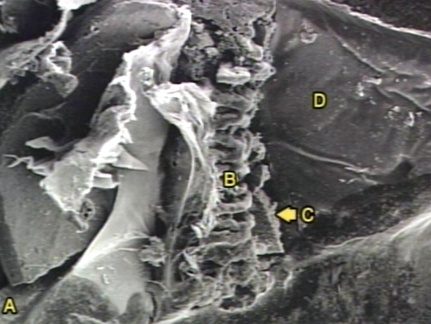 00245899