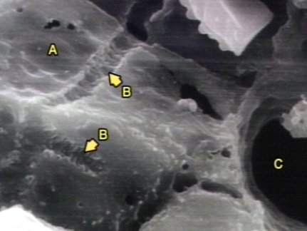 00245903