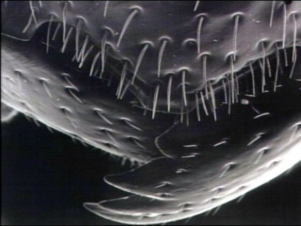 00245909