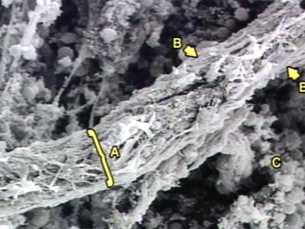 00245907
